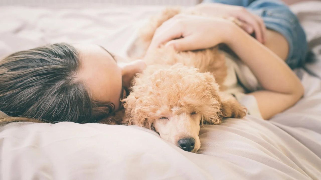 Alternatives to Letting Your Puppy Sleep in Your Bed