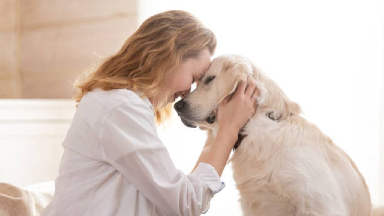 Considerations for First-Time Dog Owners