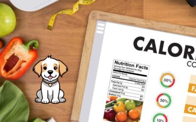 How to Calculate and Meet Your Dog’s Daily Calorie Requirements