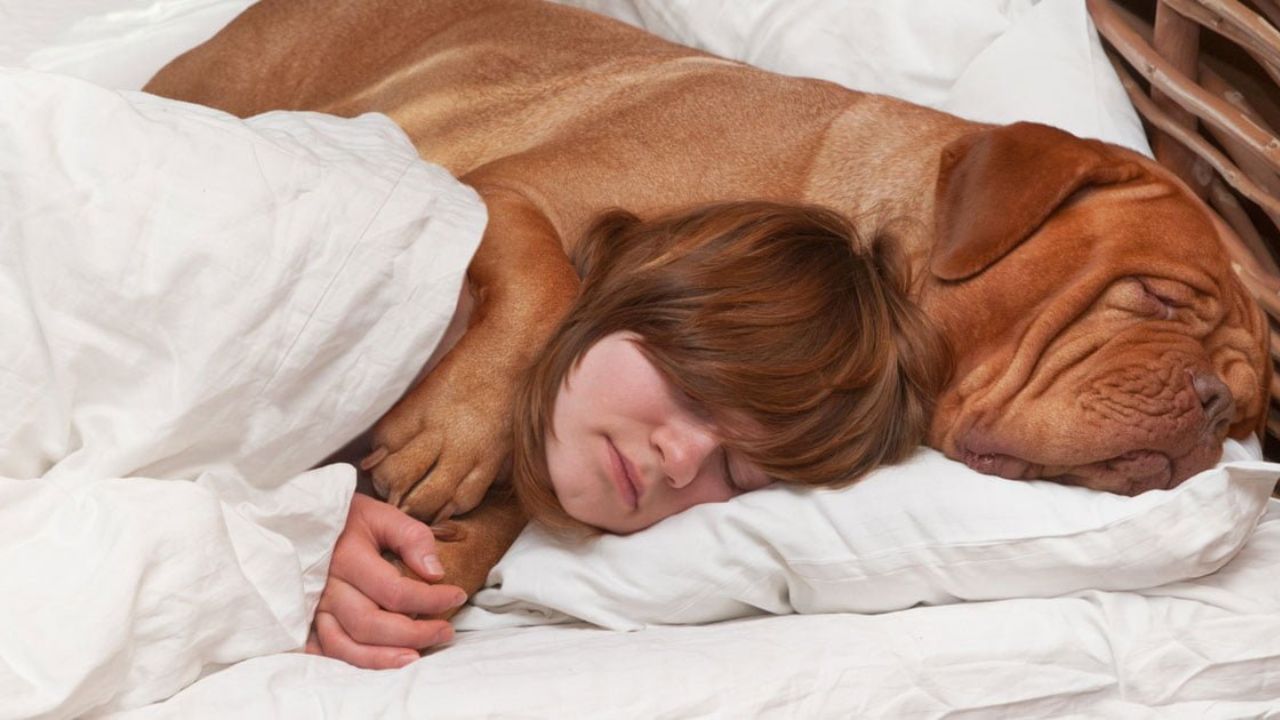 The Pros and Cons of Letting Your Puppy Sleep in Your Bed