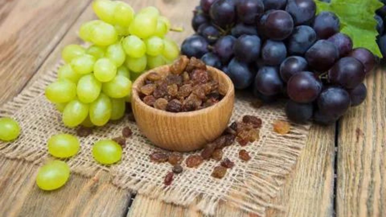 Can Pomeranians Eat Grapes and Raisins
