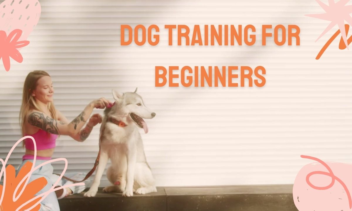 Dog Training for Beginners