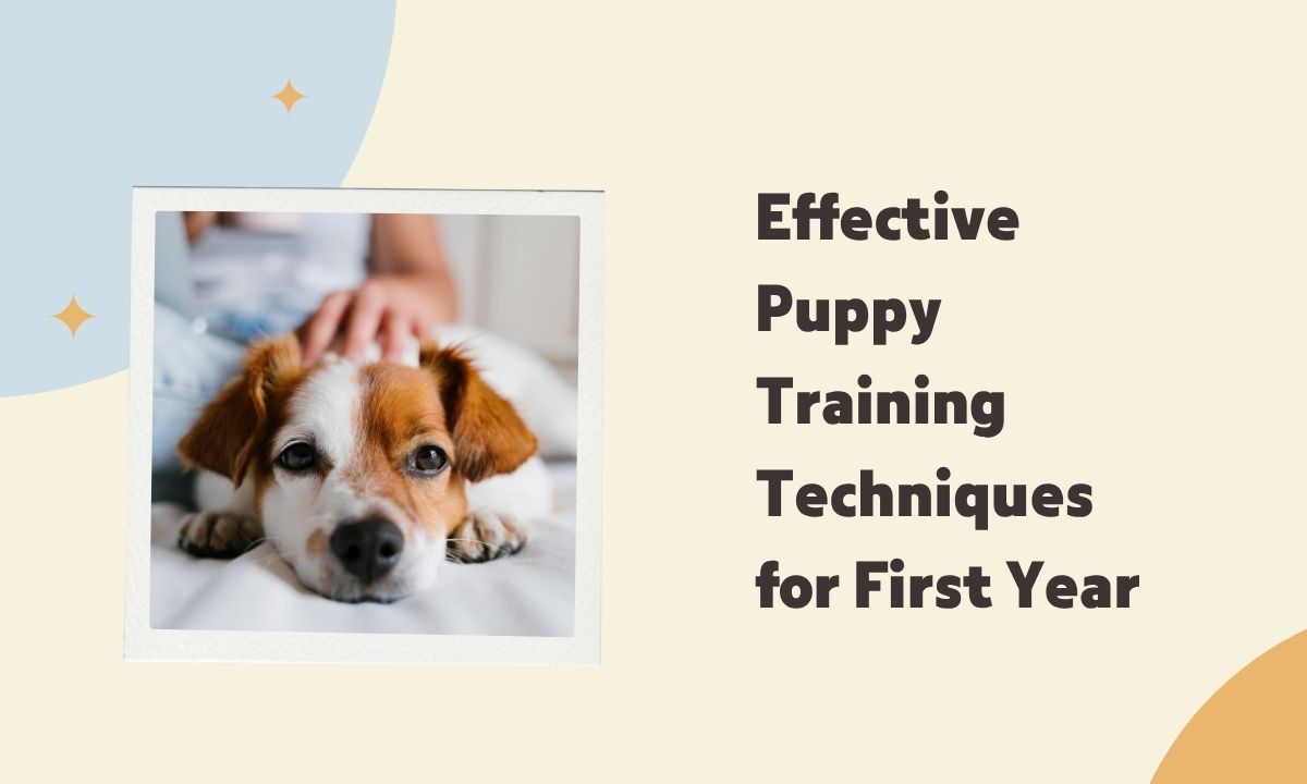 Effective Puppy Training Techniques for First Year