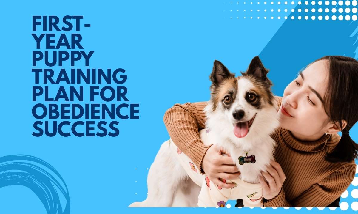 First-Year Puppy Training Plan for Obedience Success