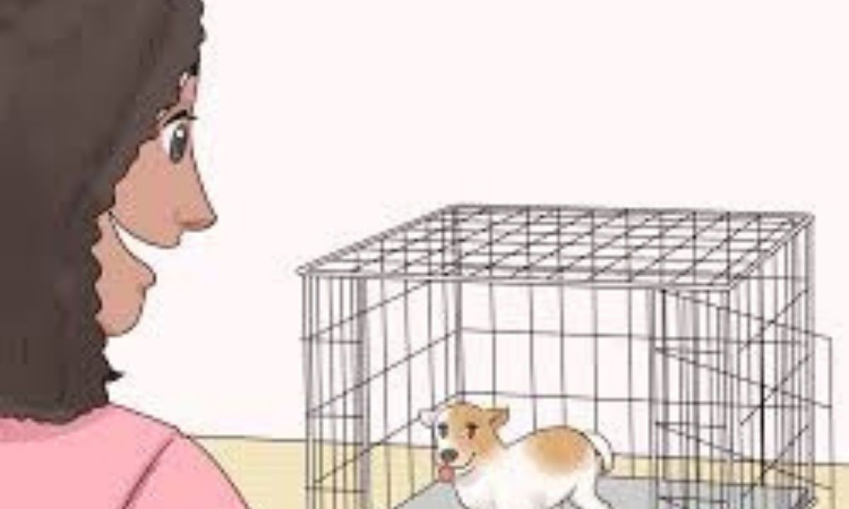How to Crate Train Your Puppy in 3 Days