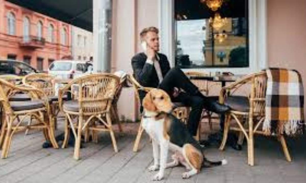 How to Train a Puppy to Be Calm, Friendly, and Well-Behaved