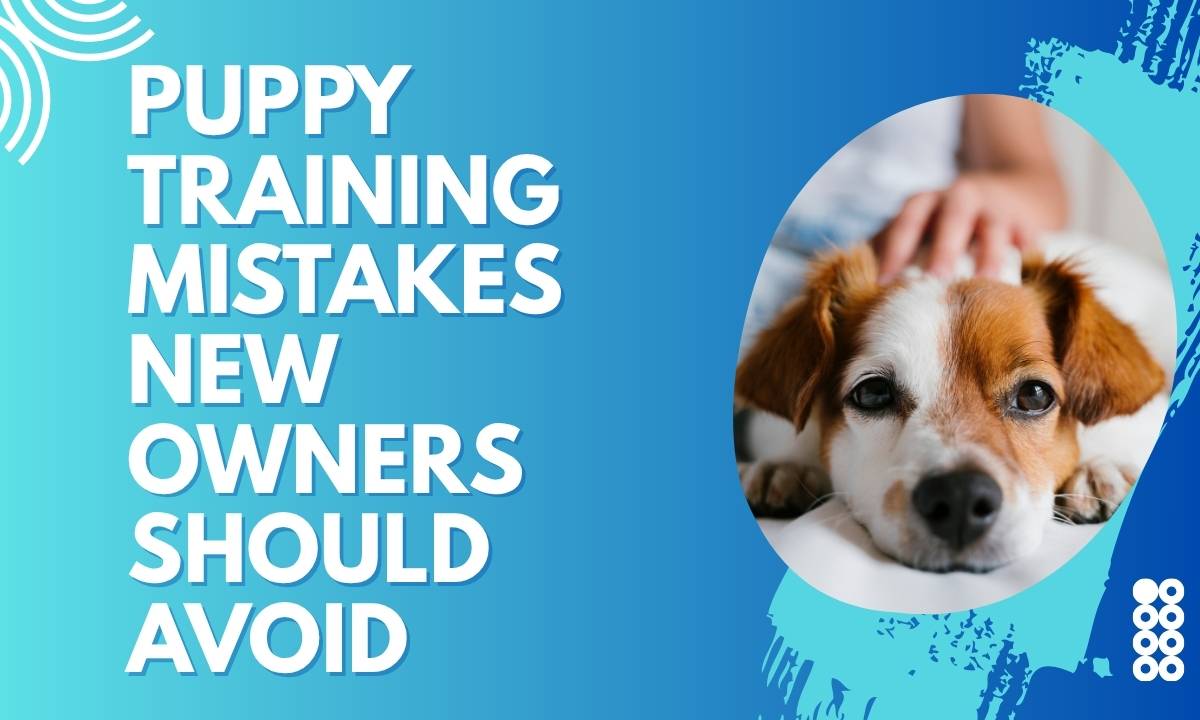 Puppy Training Mistakes New Owners Should Avoid
