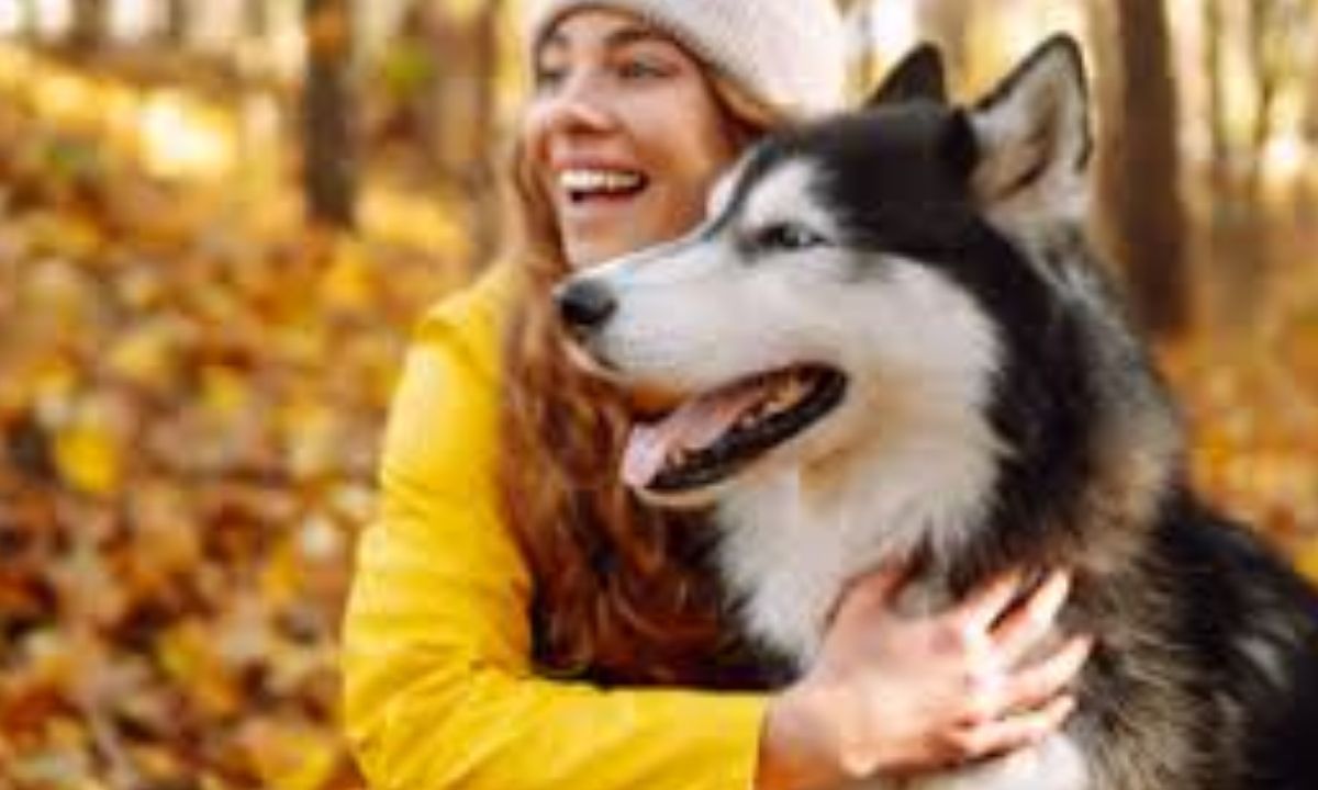 Embracing the Gifts of the Season with Your Dog